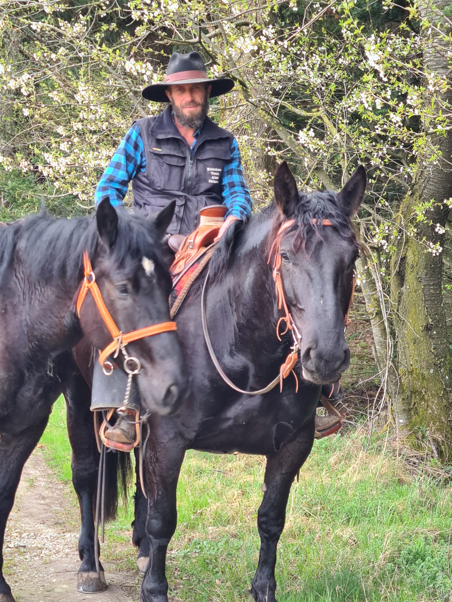 Wanderreiten